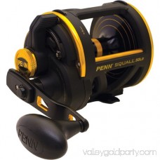 Penn Squall Lever Drag Conventional Reel 552789124